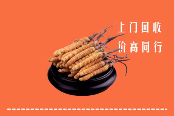高价求购：武威市回收散虫草